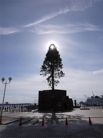 クリスマスツリー