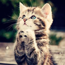 門前追悼などの写真と新聞記事をお送りください